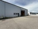 Vente Local commercial Sarrola-carcopino 937 m2
