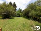 Vente Terrain Auffargis 2320 m2