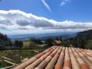 Vente Maison Porto-vecchio 5 pieces 89 m2