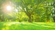 Vente Terrain Ailly-sur-noye 1728 m2
