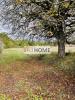 Vente Terrain Loupes 650 m2