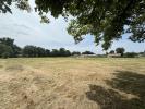 Vente Terrain Saint-magne 800 m2