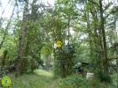 Vente Terrain Langeais 3783 m2