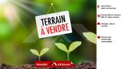 Vente Terrain Saint-pierre 395 m2