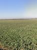 Vente Terrain Angliers 335 m2