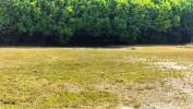 Vente Terrain Marsais 632 m2