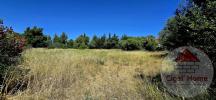 Vente Terrain Palme 844 m2