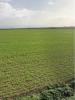 Vente Terrain Saint-ouen-d'aunis 572 m2