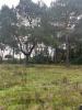 Vente Terrain Saint-aubin-de-medoc 560 m2