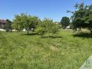Vente Terrain Chalamont 1000 m2