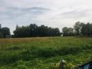 Vente Terrain Berson 1000 m2