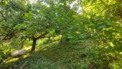 Vente Terrain Oz 5 pieces 744 m2