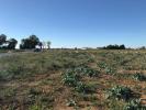 Vente Terrain Ballon 525 m2