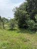 Vente Terrain Billaux  4500 m2