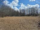 Vente Terrain Chapelle-aubareil 2553 m2