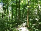 Vente Terrain Dampierre-en-yvelines 4693 m2