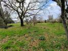 Vente Terrain Lalande-de-pomerol 890 m2