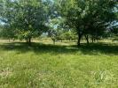 Vente Terrain Sergeac 4264 m2