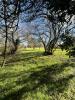 Vente Terrain Lalande-de-pomerol 894 m2