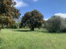 Vente Terrain Saint-siffret 570 m2