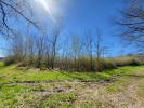 Vente Terrain Castelnau-de-medoc 7061 m2