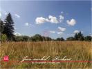 Vente Terrain Selles-sur-cher 4300 m2
