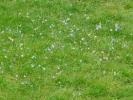 Vente Terrain Orleat 1435 m2
