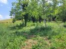 Vente Terrain Saint-georges-sur-allier 815 m2