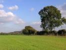 Vente Terrain Decines-charpieu 500 m2