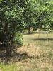 Vente Terrain Biscarrosse 532 m2
