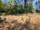 Vente Terrain Saint-maximin-la-sainte-baume 