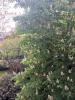 Vente Appartement Paris-16eme-arrondissement 26 m2