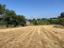 Vente Terrain Chateauneuf-la-foret 2000 m2