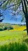 Vente Maison Toulouse CAMPAGNE 5 pieces 50 m2