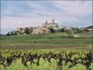 Vente Terrain Saint-alexandre 455 m2