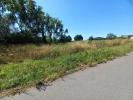 Vente Terrain Plouay 3590 m2