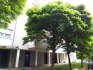 Location Appartement Neuves-maisons 4 pieces 98 m2