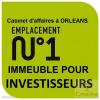 Vente Immeuble Chaingy LA-CHAPELLE-SAINT-MESMIN 336 m2