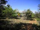 Vente Terrain Rians  20770 m2