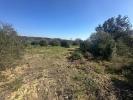 Vente Terrain Pignan 3350 m2