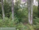 Vente Prestige Neuvy-sur-barangeon