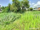 Vente Terrain Orchies 11 pieces 2510 m2