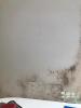 Location Appartement Vanves  5 pieces 32 m2