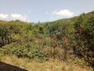 Vente Maison Saint-pons-de-thomieres 3 pieces 56 m2