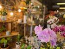 Vente Commerce Saint-pierre 70 m2