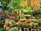 Vente Commerce Bocca
