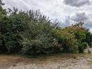 Vente Terrain Souligne-flace 2653 m2