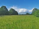 Vente Terrain Cassagne 5580 m2