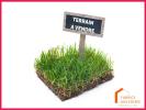 Vente Terrain Vironchaux 710 m2