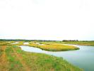 Vente Terrain Ile-d'olonne 32767 m2